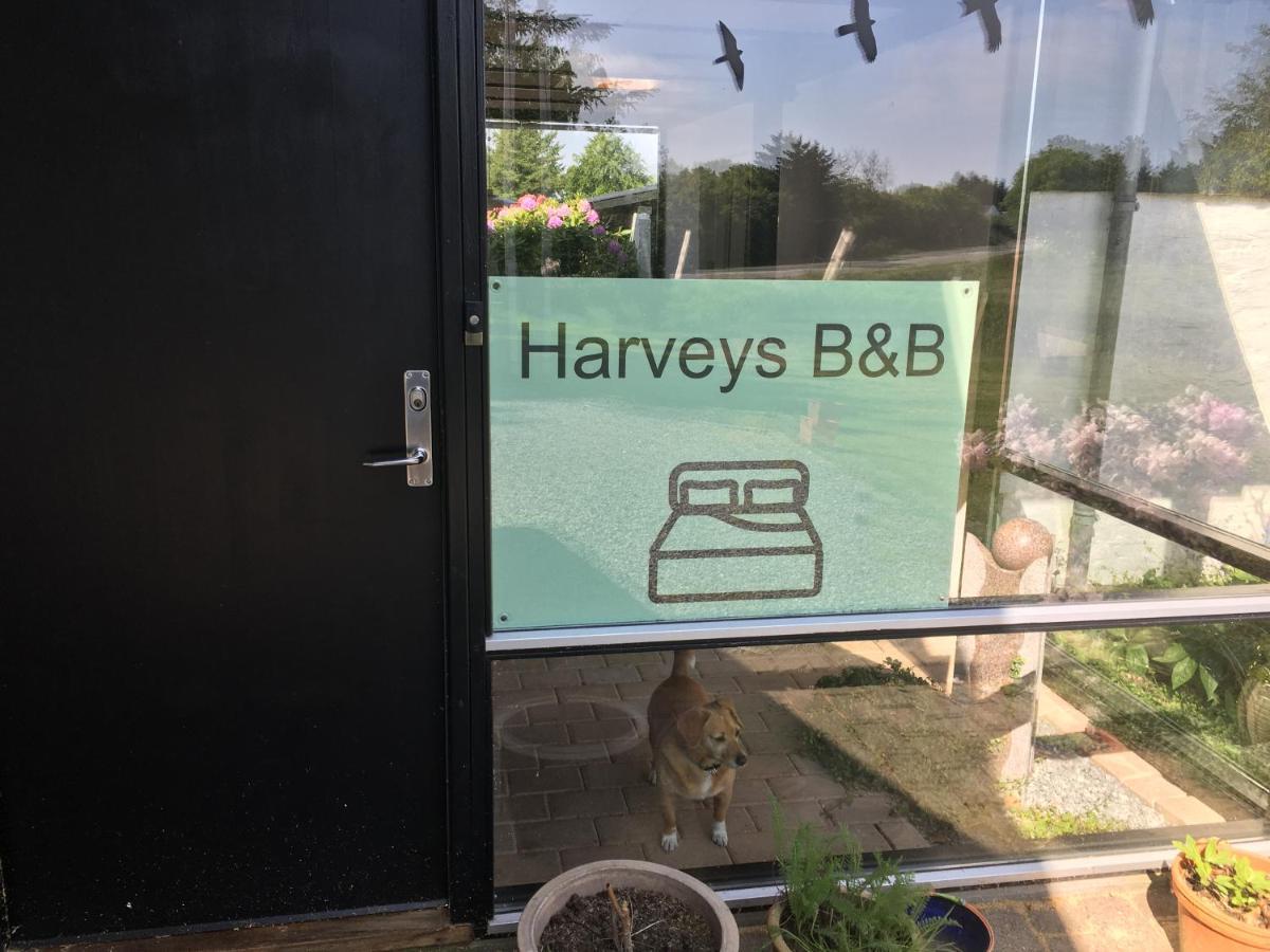 הייורינג Harvey'S Bed & Breakfast מראה חיצוני תמונה